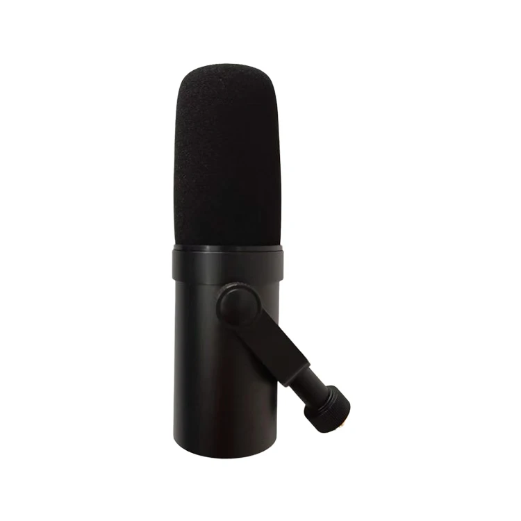 Dynamic Broadcast Microphone